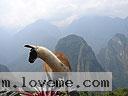 Machu-Picchu-009